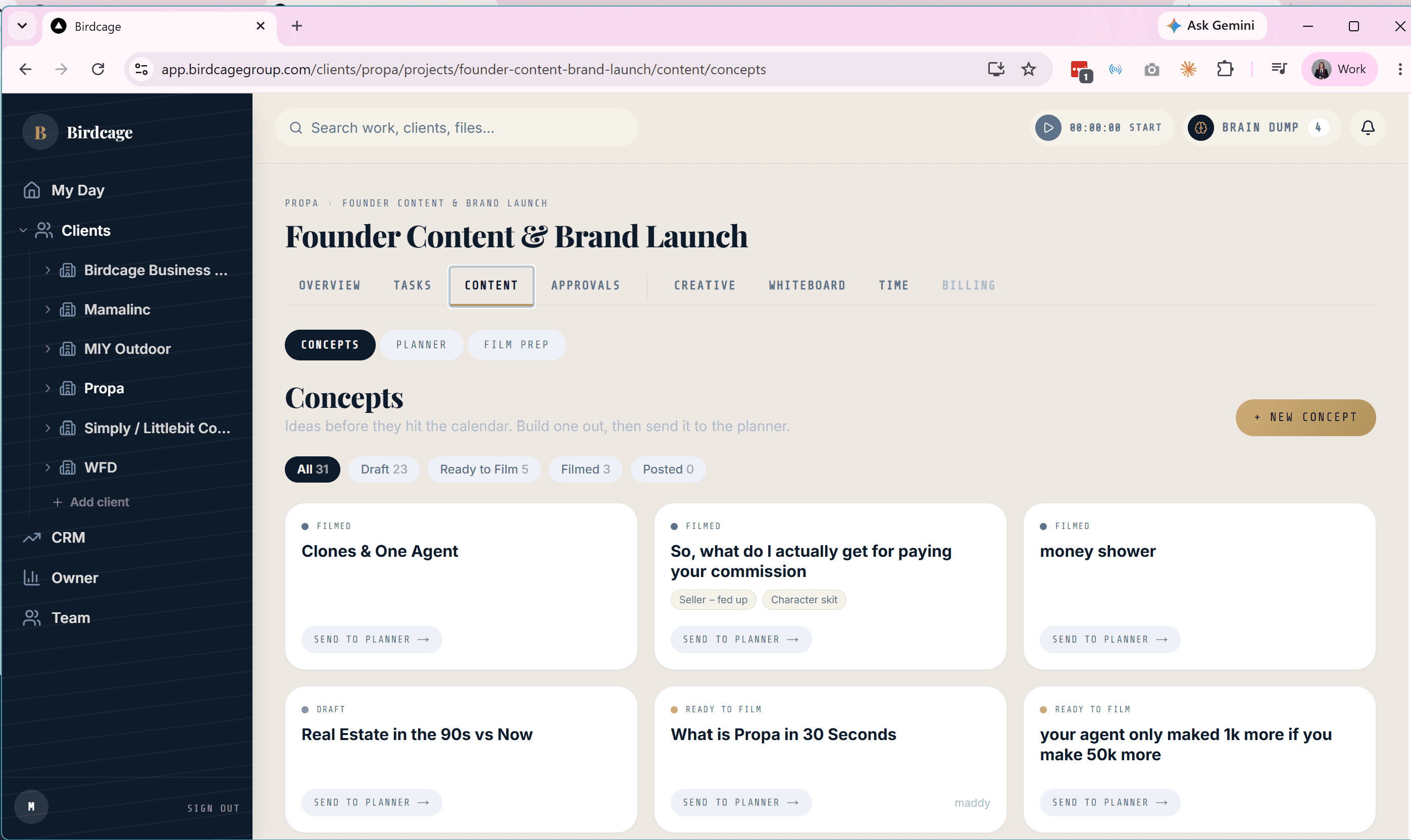 Content concepts for a live client project